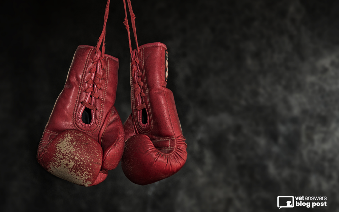 Just a few more years? What Muhammad Ali Can Teach Veterinary Business Owners About Exit Planning